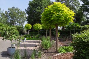Arts zijn: Stilstaan bij wat het vak met je doet.