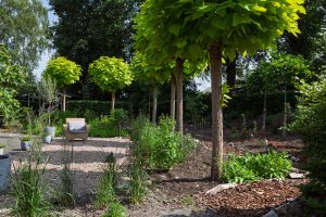 Reflectiedagen in de zorg: Een moment van rust bij De Karkoele